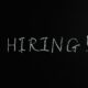 We Are Hiring 2 Summer Positions